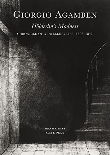 Hölderlin's Madness: Chronicle of a Dwelling Life, 1806–1843 (The Italian List) von Seagull Books London Ltd